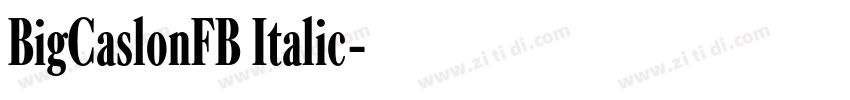 BigCaslonFB Italic字体转换